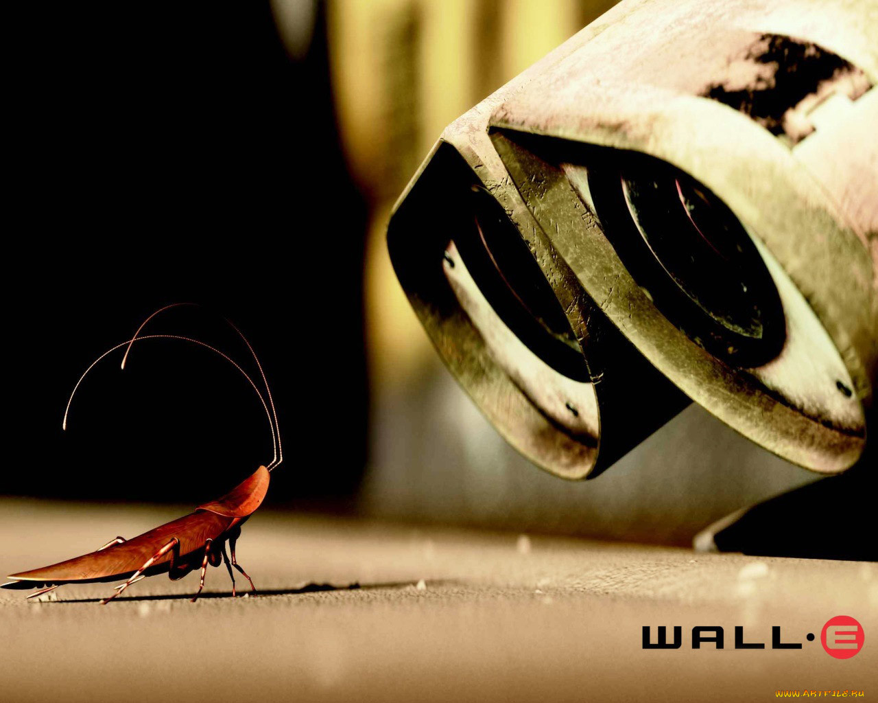 , wall